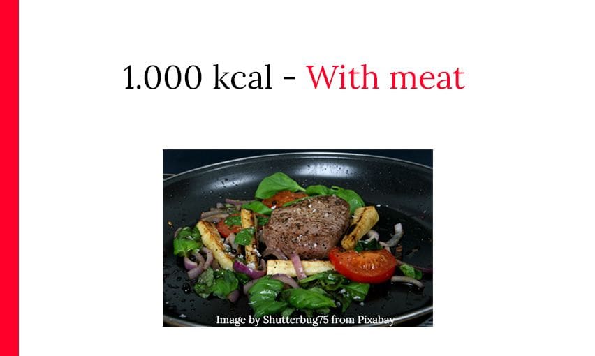 1000 calorie diet with meat